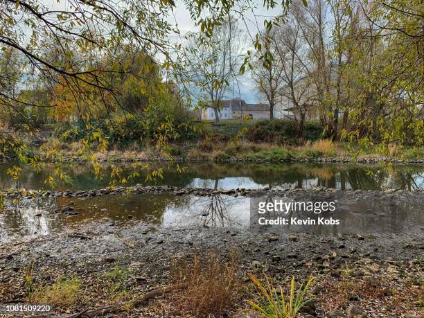 drought of river oder. - mud riverbed stock pictures, royalty-free photos & images