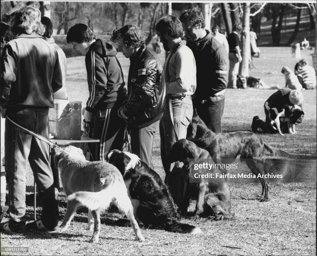 Owners and their dogs line up for refreshment after completing the course.The Eastern Suburbs dog Training Club ***** its weekly classes in Centennial Park each Sunday morning almost had a new student this morning in the shape of three old Reebi, a Basenj