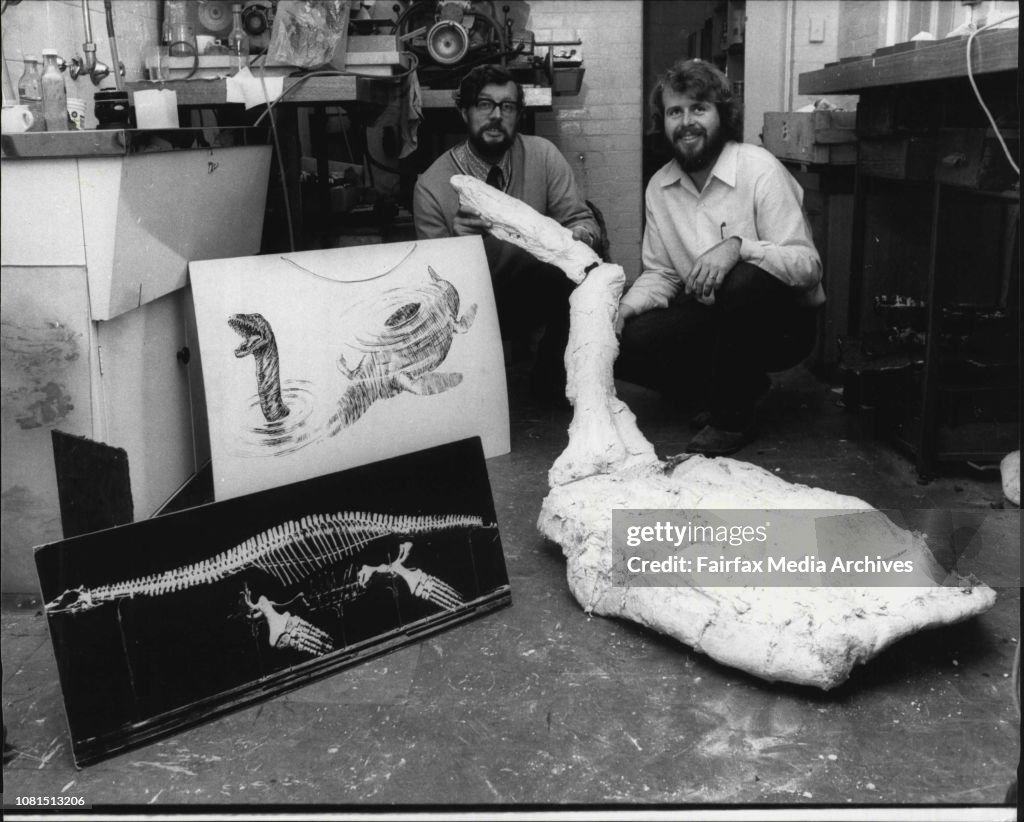 Skeleton of a Plesiosaur a Marine reptile which first ***** 180 million years ago, found at White Cliffs N.S.Ws.l to r Dr. Alex Ritchie curator ***** at the Aust Museum & his Assistant Robert Jones with the Reptile Fossils. line Drawing of the Fossil.Phot