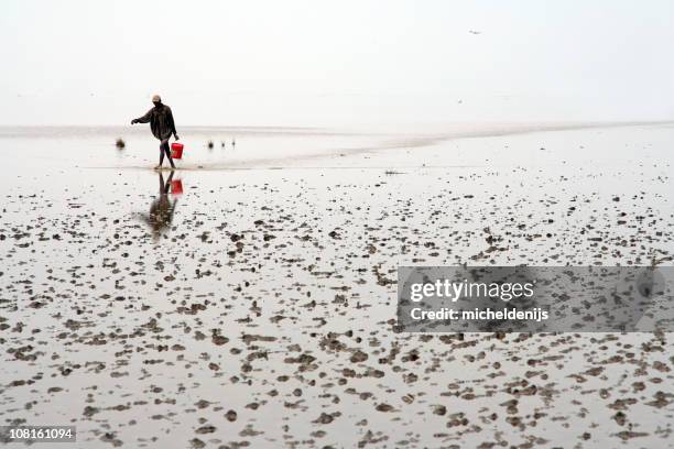african fishing - saltwater flats stock pictures, royalty-free photos & images