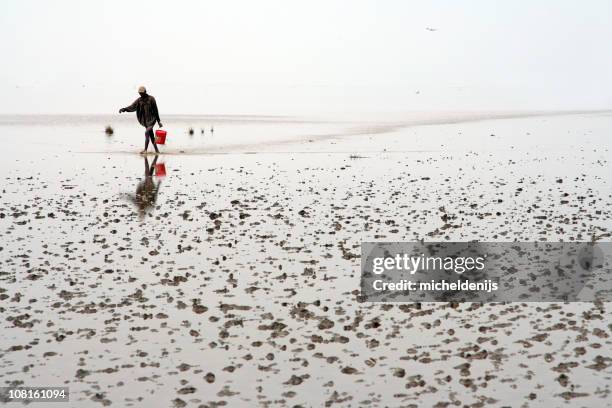 african fishing - carrying water stock pictures, royalty-free photos & images