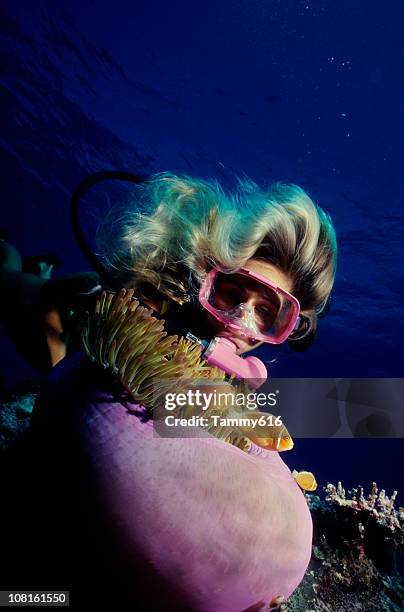 woman meets clownfish - giant purple anemone stock pictures, royalty-free photos & images