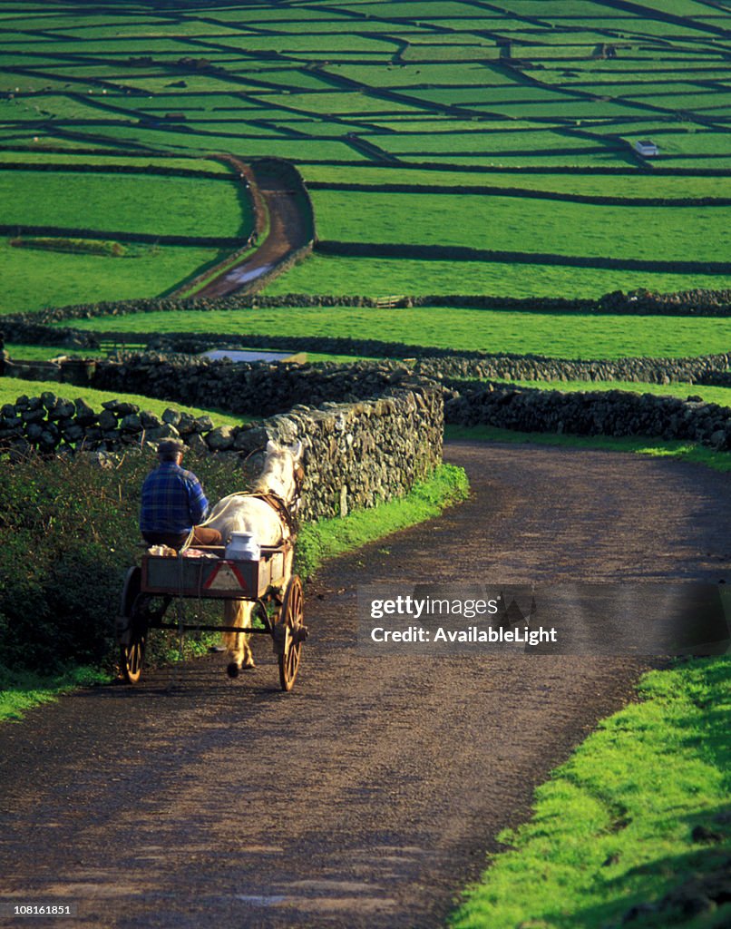 Farmer und Esel mit Buggy zu Fuß auf die Rural Road