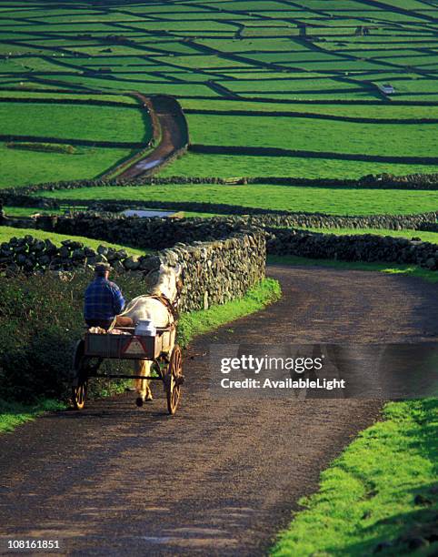 farmer and donkey with buggy walking down rural road - azores people stock pictures, royalty-free photos & images