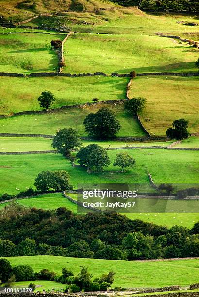 english countryside aerial - yorkshire dales 個照片及圖片檔