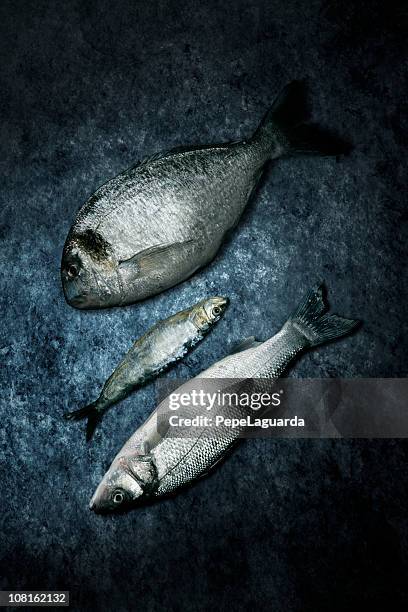 three dead fish lying on grunge background - smoked food stock pictures, royalty-free photos & images