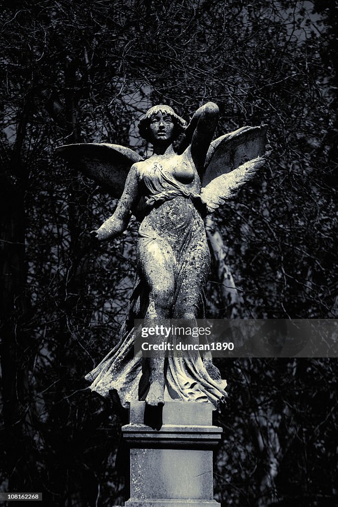 Classic Marble Statue of Angel in Garden, Black and White