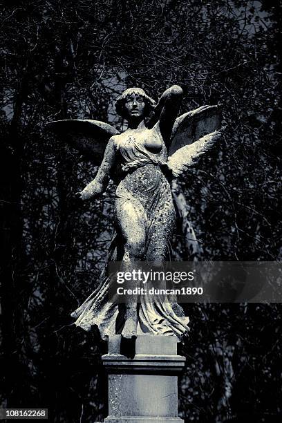 classic marble statue of angel in garden, black and white - female statue stock pictures, royalty-free photos & images