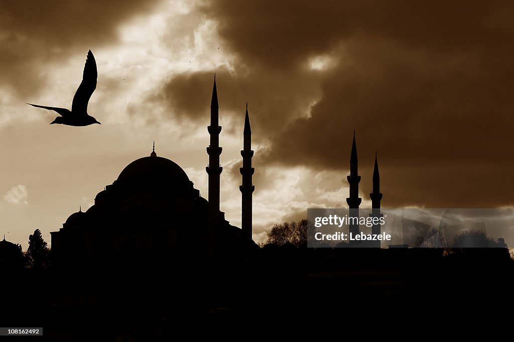 Silhouette of Mosque
