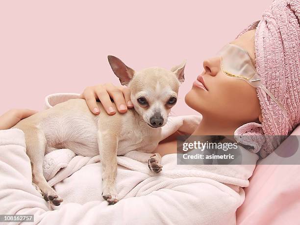 relaxing beauty - dog mask stock pictures, royalty-free photos & images