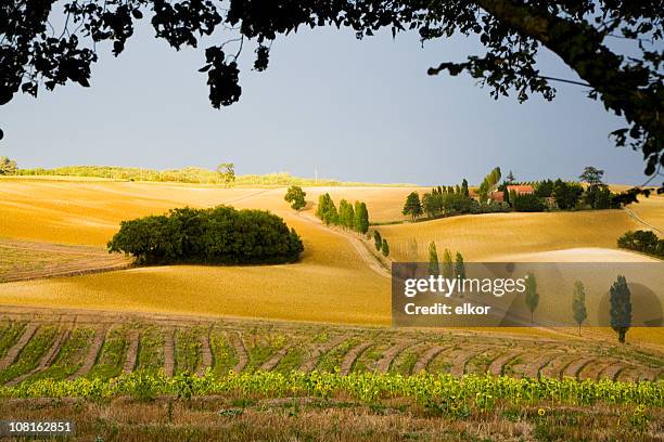 autumn in gascogny, france countryside - aquitaine stock pictures, royalty-free photos & images