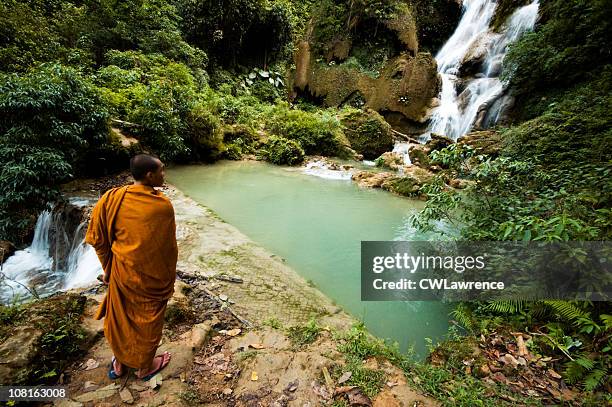 monk viewing tat kuang si waterfall in laos - robe stockfoto's en -beelden
