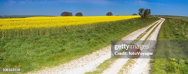 white track beside farm field - wiltshire stock pictures, royalty-free photos & images