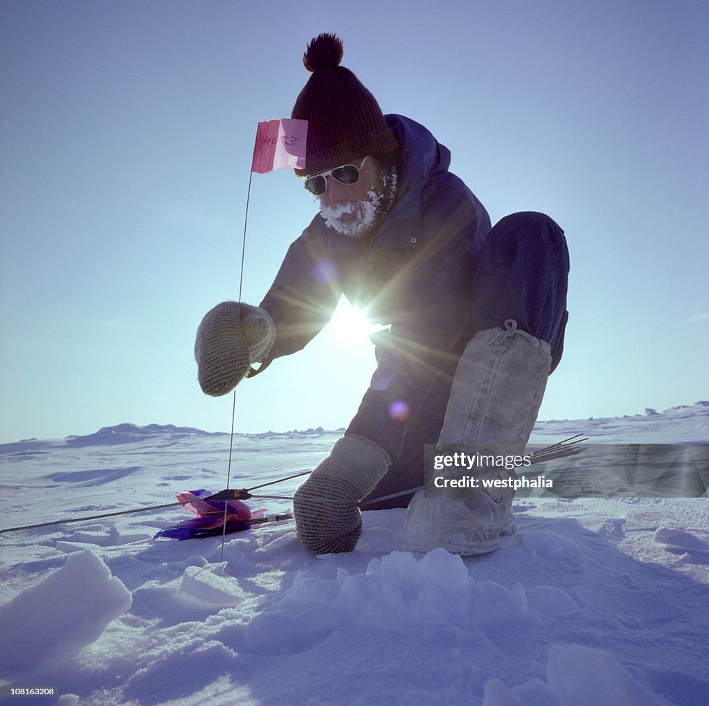 Arctic seismische