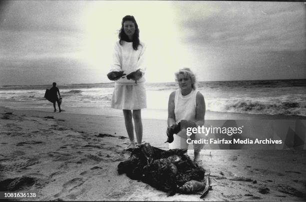 Birds being washed up on Cronulla beach.left to right Mary Pearce and Helen Morissey, from Australian Wildlife Ambulance rescue emergencies. November...