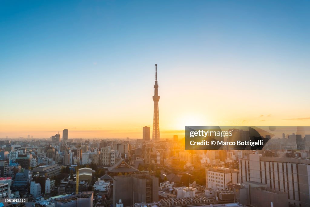 Tokyo skyline at sunrise