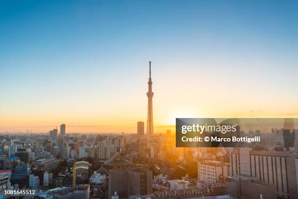 tokyo skyline at sunrise - tokyo skytree - fotografias e filmes do acervo