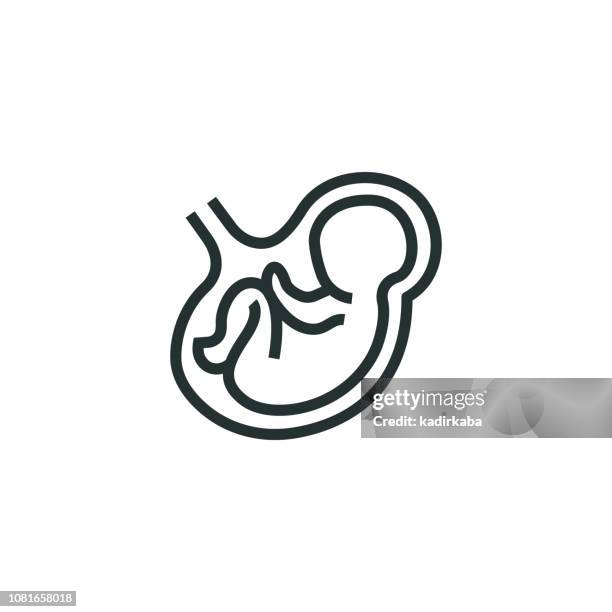 illustrazioni stock, clip art, cartoni animati e icone di tendenza di icona linea gravidanza - feto