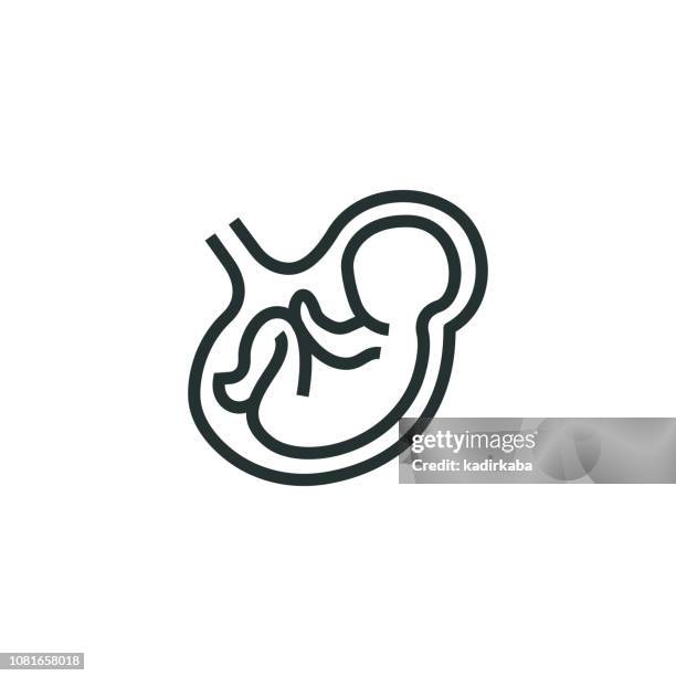 pregnancy line icon - foetus stock illustrations