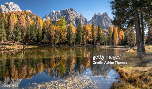 dolomite alps, south tyrol, italy, europe - majestätisch stock pictures, royalty-free photos & images