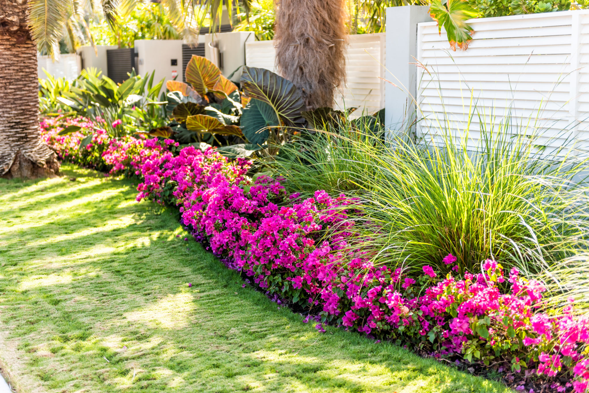 florida garden