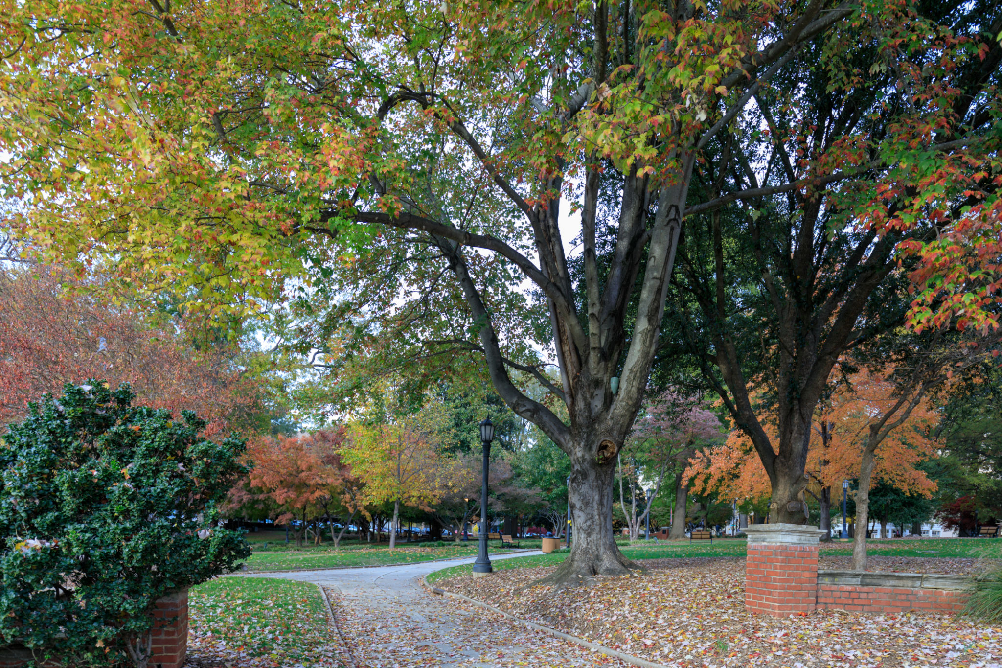 seasonal changes raleigh