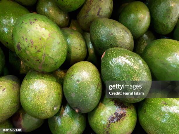 Large Ripe Avocado 184 Large Avocados Stock Photos, High-Res Pictures, and Images - Getty ...