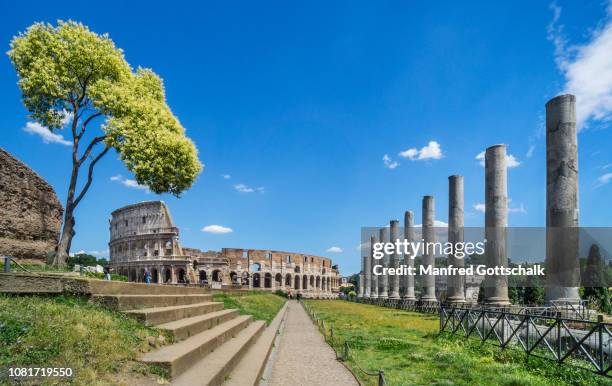 view of the colosseum from the temple of venus and roma on velian hill at the roman forum, rome, italy, june 28, 2018 - coliseum stock-fotos und bilder