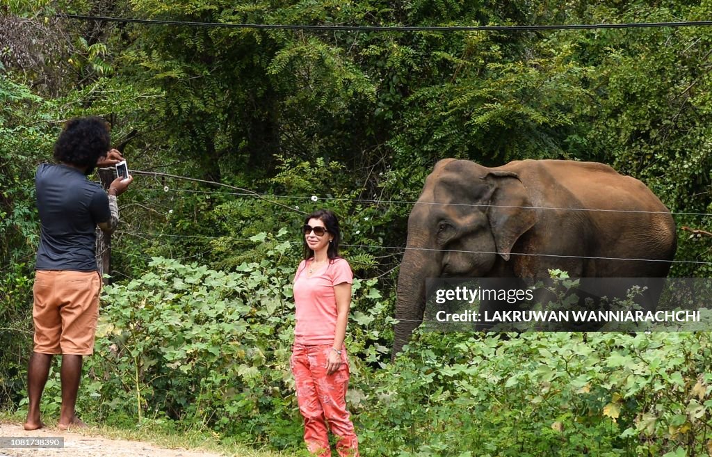SRI LANKA-ANIMAL-ELEPHANT