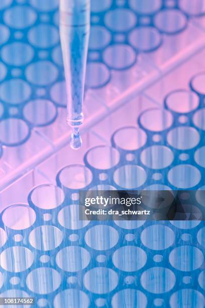 dna analysis - modern laboratory stock pictures, royalty-free photos & images