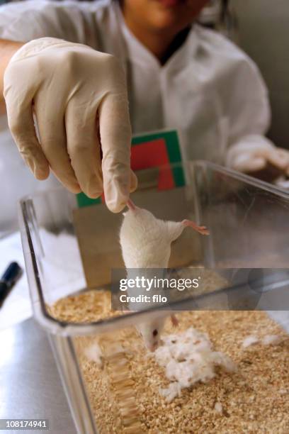 Animal Sample Lab 434 Animal Testing Lab Stock Photos, High-Res Pictures, and Images ...