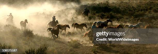 horses cowboys and wranglers series 3 - los angeles film festival closing night screening of ingrid goes west stockfoto's en -beelden