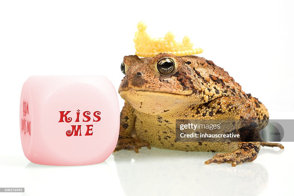 Frosch mit Krone am Kiss Me Würfel