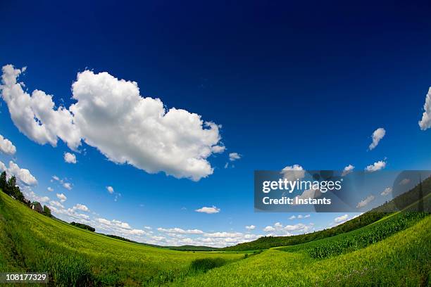 feld an einem sonnigen tag, fischaugen-objektiv - horizont über land stock-fotos und bilder