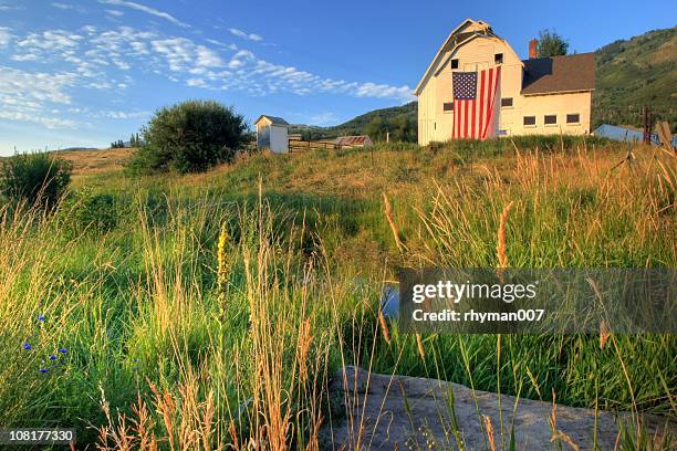 american farm with giant flag in field - park city stockfoto's en -beelden