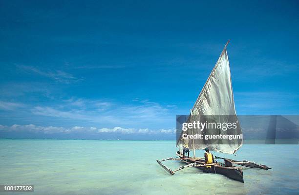 dhow at the coast of zanzibar - zanzibar 個照片及圖片檔