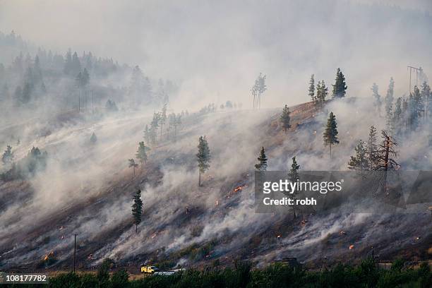 montana forest fire 2007 [ 2 millionth ] archivo de istock - quemar fotografías e imágenes de stock