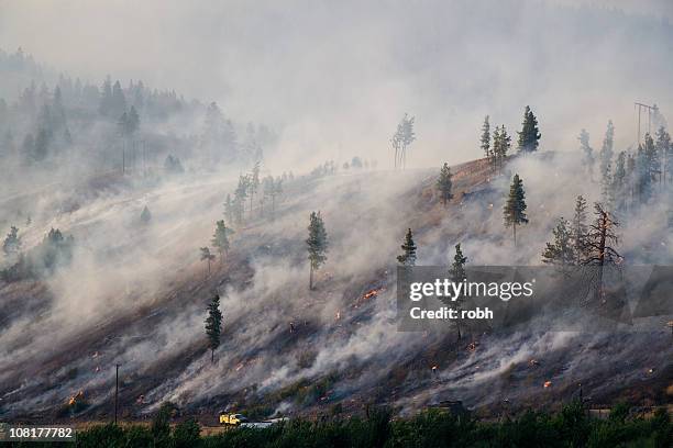 montana forest fire 2007 [ 2 millionth istock file ] - 燃燒 個照片及圖片檔