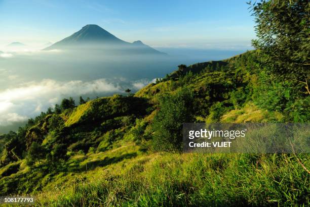 mountain and volcano landscape in indonesia at sunrise - java stockfoto's en -beelden