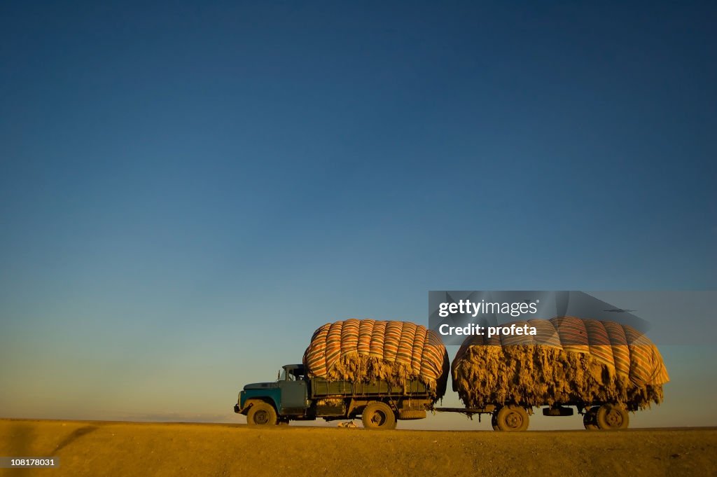 Cashmere Wool Truck on Flat Road