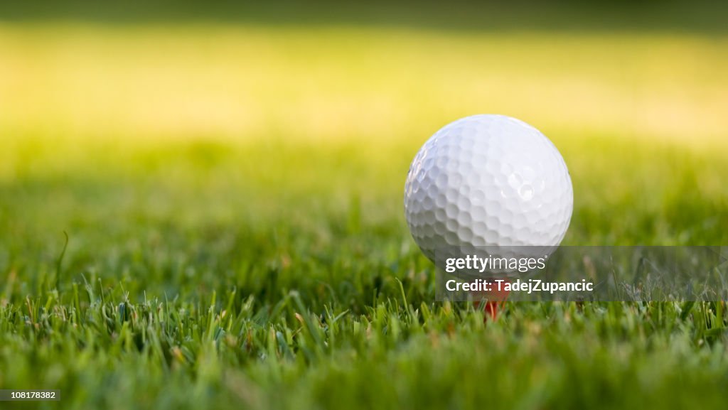Golf ball on the tee