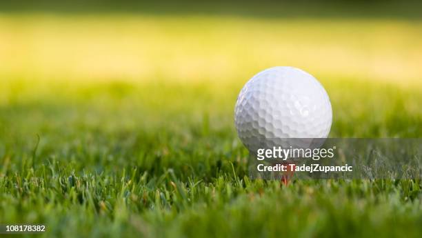golf ball on the tee - golf ball stock pictures, royalty-free photos & images