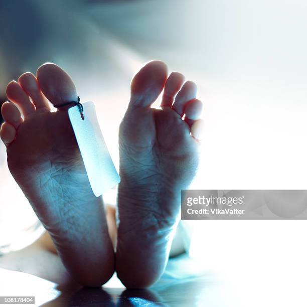 dead man - morgue feet stock pictures, royalty-free photos & images