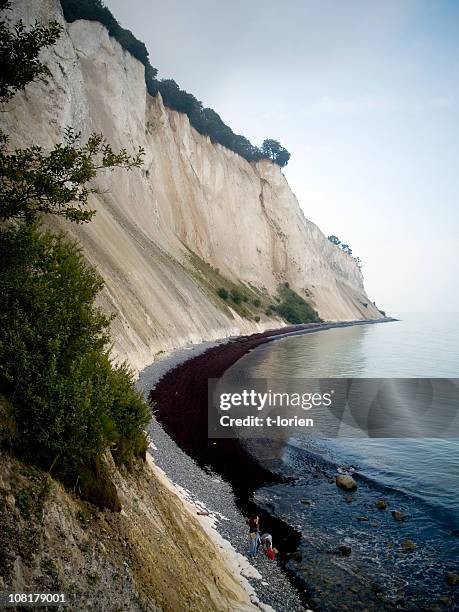 moens cliffs - zealand denmark stock pictures, royalty-free photos & images