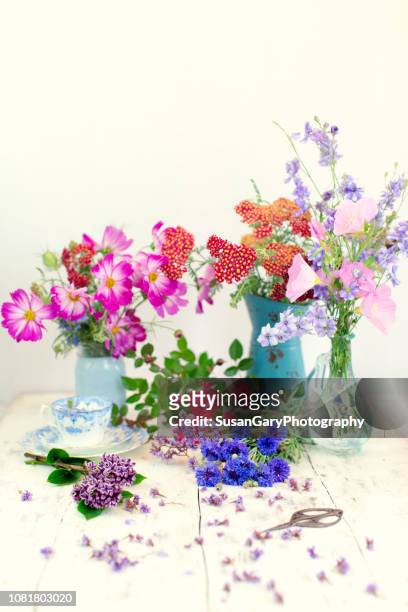three vases of garden flowers - delphinium stock pictures, royalty-free photos & images