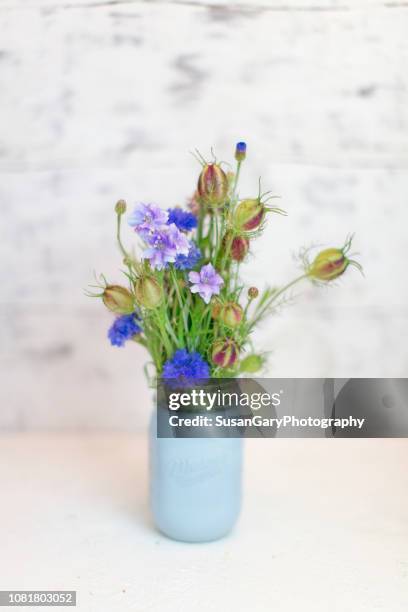 blue and purple flowers - mason jar stock pictures, royalty-free photos & images