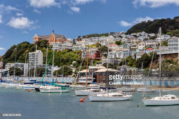 wellington city towards boat houses and mount victoria, new zealand - wellington harbour stock pictures, royalty-free photos & images