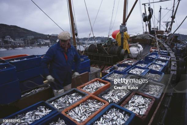 Tarbert Fish 701 Tarbert Stock Photos, High-Res Pictures, and Images - Getty Images