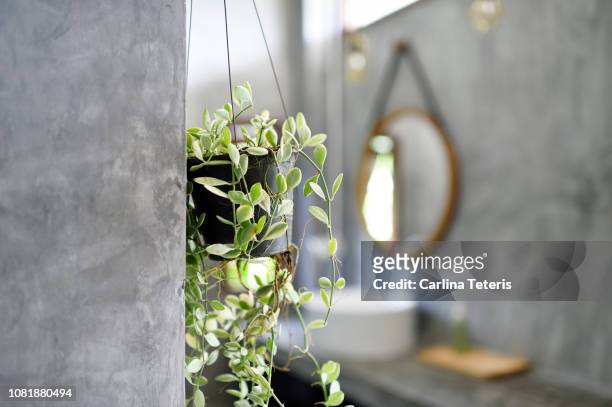 hanging plants in a luxury concrete bathroom - bathroom pot plant stock pictures, royalty-free photos & images