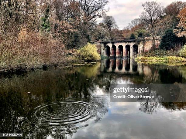 viaduct bridge, hampstead heath - hampstead heath fotografías e imágenes de stock